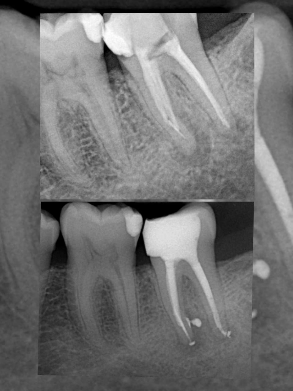 muskan dental care delhi35