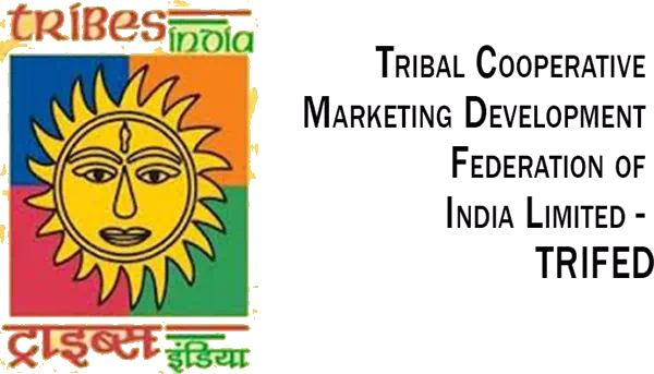 TCMDFI