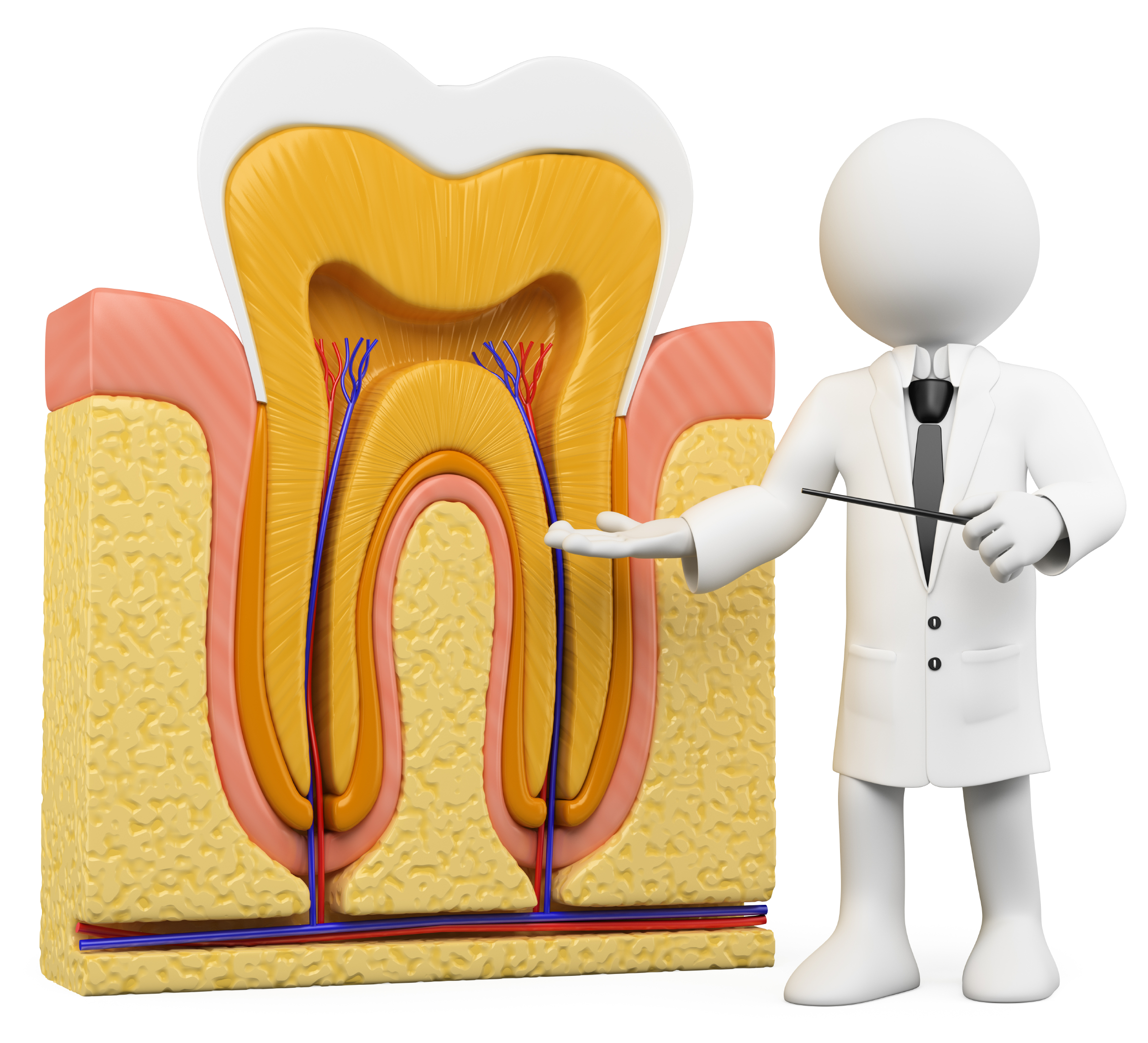 Root Canal Treatment